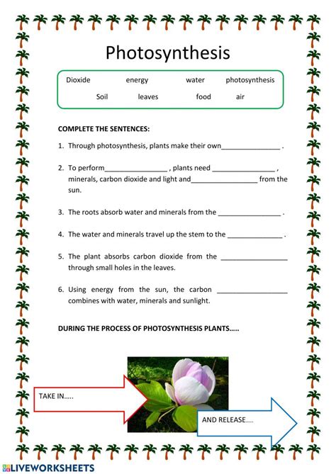 Radiant energy can also be called light or solar energy. . Photosynthesis worksheet pdf with answers